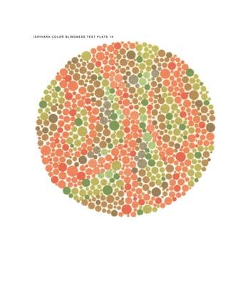 TEST BUTA WARNA | PDF