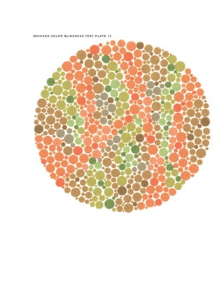 TEST BUTA WARNA | PDF