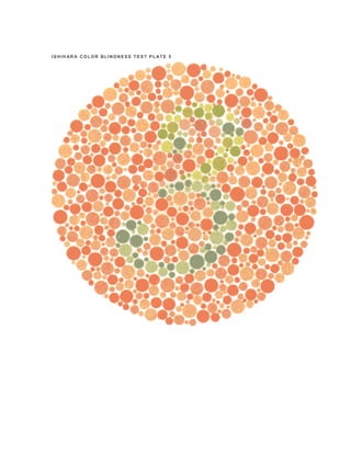 TEST BUTA WARNA | PDF