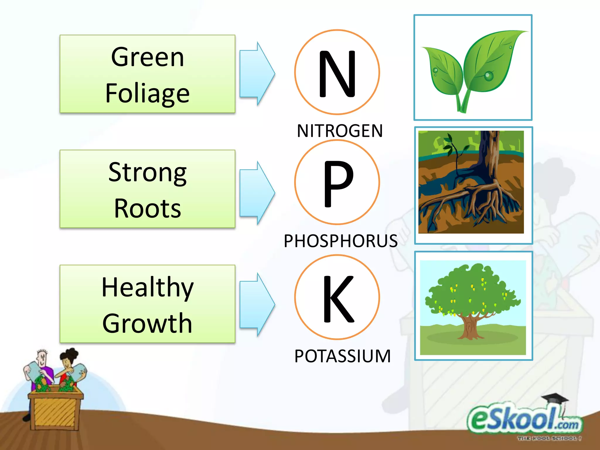 NITROGEN
PHOSPHORUS
POTASSIUM
Green
Foliage
Strong
Roots
Healthy
Growth
N
P
K