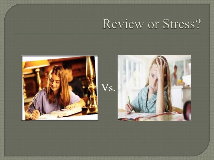 essay about animals world lasting values