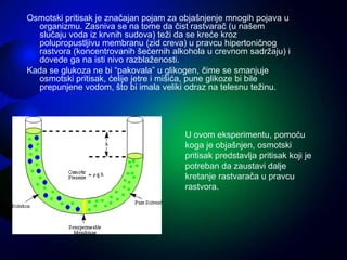 Osmotski pritisak je značajan pojam za objašnjenje mnogih pojava u
organizmu. Zasniva se na tome da čist rastvarač (u našem
slučaju voda iz krvnih sudova) teži da se kreće kroz
polupropustljivu membranu (zid creva) u pravcu hipertoničnog
rastvora (koncentrovanih šećernih alkohola u crevnom sadržaju) i
dovede ga na isti nivo razblaženosti.
Kada se glukoza ne bi “pakovala” u glikogen, čime se smanjuje
osmotski pritisak, ćelije jetre i mišića, pune glikoze bi bile
prepunjene vodom, što bi imala veliki odraz na telesnu težinu.
U ovom eksperimentu, pomoću
koga je objašnjen, osmotski
pritisak predstavlja pritisak koji je
potreban da zaustavi dalje
kretanje rastvarača u pravcu
rastvora.
 