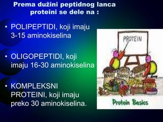 Prema dužini peptidnog lanca
proteini se dele na :
• POLIPEPTIDI, koji imaju
3-15 aminokiselina
• OLIGOPEPTIDI, koji
imaju 16-30 aminokiselina
• KOMPLEKSNI
PROTEINI, koji imaju
preko 30 aminokiselina.
 