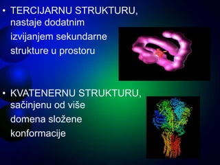 • TERCIJARNU STRUKTURU,
nastaje dodatnim
izvijanjem sekundarne
strukture u prostoru
• KVATENERNU STRUKTURU,
sačinjenu od više
domena složene
konformacije
 