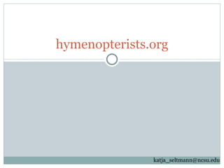 hymenopterists.org [email_address] 