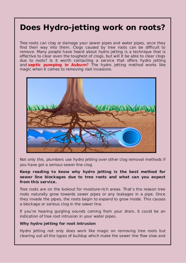 Is Hydro Jetting Effective in Removing Tree Roots?