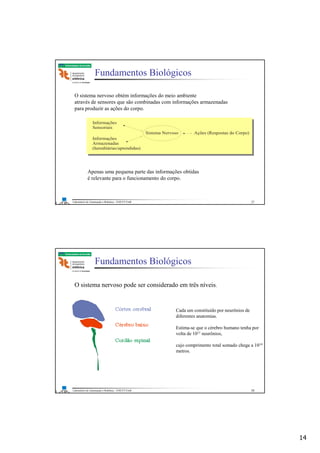 14
Laboratório de Automação e Robótica - ENE/FT/UnB
Faculdade de Tecnologia
Fundamentos Biológicos
Apenas uma pequena parte das informações obtidas
é relevante para o funcionamento do corpo.
Informações
Sensoriais
Informações
Armazenadas
(hereditárias/aprendidas)
Sistema Nervoso Ações (Respostas do Corpo)
O sistema nervoso obtém informações do meio ambiente
através de sensores que são combinadas com informações armazenadas
para produzir as ações do corpo.
27
Laboratório de Automação e Robótica - ENE/FT/UnB
Faculdade de Tecnologia
Fundamentos Biológicos
O sistema nervoso pode ser considerado em três níveis.
Cada um constituído por neurônios de
diferentes anatomias.
Estima-se que o cérebro humano tenha por
volta de 1011 neurônios,
cujo comprimento total somado chega a 1014
metros.
28
 