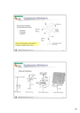 15
Laboratório de Automação e Robótica - ENE/FT/UnB
Faculdade de Tecnologia
Fundamentos Biológicos
Níveis de processamento
da informação pelo cérebro
• estrutural
• fisiológico
• cognitivo
Dendritos
Corpo
Celular
(Soma)
Impulsos
de
Entrada
Impulso
de
Saída
Axônio
Arborização axonial
(terminais)
O Fluxo da informação (corrente elétrica)
é sempre dos dendritos para o axônio.
O Fluxo da informação (corrente elétrica)
é sempre dos dendritos para o axônio.
29
Laboratório de Automação e Robótica - ENE/FT/UnB
Faculdade de Tecnologia
Fundamentos Biológicos
Tipos de Neurônios:
30
 