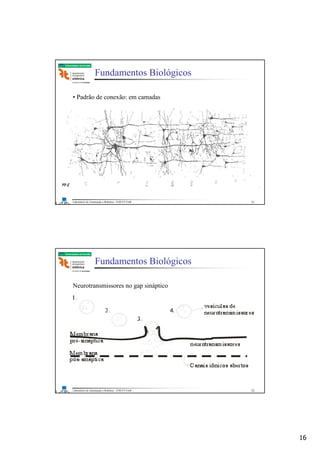 16
Laboratório de Automação e Robótica - ENE/FT/UnB
Faculdade de Tecnologia
Fundamentos Biológicos
• Padrão de conexão: em camadas
31
Laboratório de Automação e Robótica - ENE/FT/UnB
Faculdade de Tecnologia
Fundamentos Biológicos
Neurotransmissores no gap sináptico
32
 