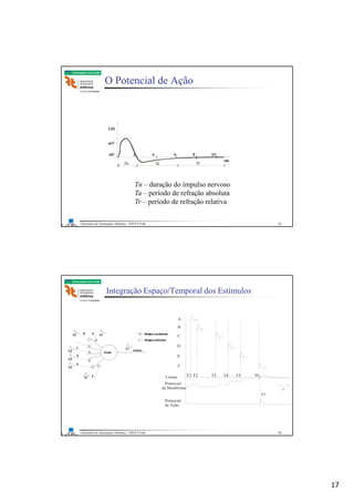 17
Laboratório de Automação e Robótica - ENE/FT/UnB
Faculdade de Tecnologia
O Potencial de Ação
Tn – duração do impulso nervoso
Ta – período de refração absoluta
Tr – período de refração relativa
33
Laboratório de Automação e Robótica - ENE/FT/UnB
Faculdade de Tecnologia
Integração Espaço/Temporal dos Estímulos
A
T1 T2 T3 T4 T5 T6
T7
t
B
C
D
E
F
Limiar
Potencial
da Membrana
Potencial
de Ação
34
 