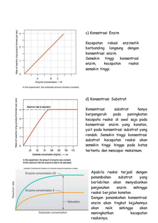 c) Konsetrasi Enzim
Kecepatan rekasi enzimatik
berbanding langsung dengan
konsentrasi enzim.
Semakin tinggi konsentrasi
enzim, kecepatan reaksi
semakin tinggi.
d) Konsentrasi Substrat
Konsentrasi substrat hanya
berpengaruh pada peningkatan
kecepata reaksi di awal saja pada
konsentrasi enzim yang konstan,
yait pada konsentrasi substrat yang
rendah. Semakin tinggi konsentrasi
substrat kecepatan reaksi akan
semakin tinggi hingga pada batas
tertentu dan mencapai maksimum.
Apabila reaksi terjadi dengan
penambahan substrat yang
berlebihan akan menyebankan
penjenuhan enzim sehingga
reaksi berjalan konstan.
Dengan penambahan konsentrasi
enzim akan tingkat kejuhannya
akan naik sehingga akan
meningkatkan kecepatan
reaksinya.
 