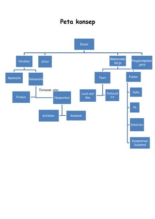 Enzim
Struktur
Apoenzim Haloenzim
Protein Nonprotein
Kofaktor Koenzim
Sifat
Mekanisme
kerja
Teori
Lock and
Key
Induced
fit
Faktor
Suhu
Ph
Inhibitor
Konsentrasi
Substrat
Pengelompokan
jenis
Peta konsep
Tersusun atas
 