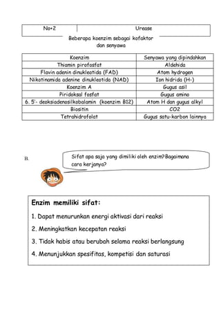 B.
No+2 Urease
Koenzim Senyawa yang dipindahkan
Thiamin pirofosfat Aldehida
Flavin adenin dinukleotida (FAD) Atom hydrogen
Nikotinamida adenine dinukleotida (NAD) Ion hidrida (H-)
Koenzim A Gugus asil
Piridoksal fosfat Gugus amino
6. 5’- deoksiadenosilkobalamin (koenzim B12) Atom H dan gugus alkyl
Biositin CO2
Tetrahidrofolat Gugus satu-karbon lainnya
Enzim memiliki sifat:
1. Dapat menurunkan energi aktivasi dari reaksi
2. Meningkatkan kecepatan reaksi
3. Tidak habis atau berubah selama reaksi berlangsung
4. Menunjukkan spesifitas, kompetisi dan saturasi
Sifat apa saja yang dimiliki oleh enzim?Bagaimana
cara kerjanya?
Beberapa koenzim sebagai kofaktor
dan senyawa
yang dipindahkan
 