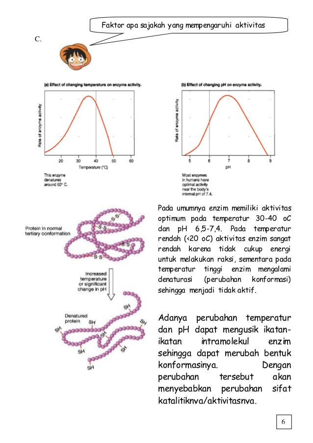 Pengaruh Ph Terhadap Aktivitas Enzim