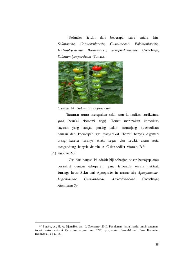 Contoh contoh gambar lembaga ekonomi search results contoh 