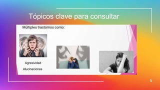 3
Tópicos clave para consultar
Agresividad
Alucinaciones
 