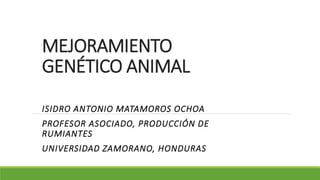 MEJORAMIENTO
GENÉTICO ANIMAL
ISIDRO ANTONIO MATAMOROS OCHOA
PROFESOR ASOCIADO, PRODUCCIÓN DE
RUMIANTES
UNIVERSIDAD ZAMORANO, HONDURAS
 