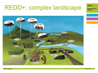 2
Isilda Nhantumbo
18/3/2014
REDD+ and gender
REDD+: complex landscape
 