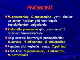 PNÖMONİ M.pneumoniae, C.pneumoniae;  yatılı okullar ve askeri kışlalar gibi yarı kapalı topluluklardaki salgınlarda Klebsiella pneumonia  gibi gram negatif basiller; huzurevlerinde Grip sonrası bakteriyel pnömonilerde;  S.aureus, H.influenzae, S.pneumoniae Papağan gibi kuşlarla temas;  C.psittaci KOAH’da;  S.pneumoniae, H.influenza, M.catarrhalis 