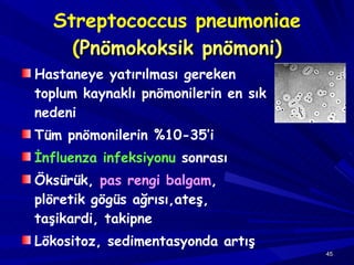 Streptococcus pneumoniae ( Pnömokoksik pnömoni) Hastaneye yatırılması gereken toplum kaynaklı pnömonilerin en sık nedeni Tüm pnömonilerin %10-35’i İnfluenza infeksiyonu  sonrası Öksürük,  pas rengi balgam , plöretik gögüs ağrısı,ateş, taşikardi, takipne Lökositoz, sedimentasyonda artış 