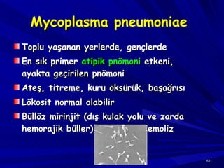 Mycoplasma  pneumoniae  Toplu yaşanan yerlerde, gençlerde En sık primer  atipik pnömoni  etkeni, ayakta geçirilen pnömoni Ateş, titreme, kuru öksürük, başağrısı Lökosit normal olabilir Büllöz mirinjit (dış kulak yolu ve zarda hemorajik büller), otoimmün hemoliz 