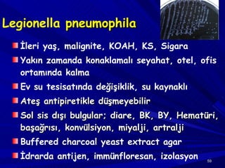 Legionella  pneumophila   İ leri ya ş , malignite, KOAH,  KS,  Sigara Yakın zamanda konaklamalı seyahat, otel, ofis ortamında kalma Ev su tesisatında de ğ i ş iklik , su kaynaklı Ateş antipiretikle düşmeyebilir Sol sis dışı bulgular; diare, BK, BY, Hematüri, başağrısı, konvülsiyon, miyalji, artralji Buffered charcoal yeast extract agar İdrarda antijen, immünfloresan, izolasyon 