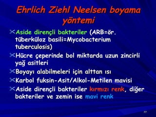 Ehrlich Ziehl Neelsen boyama yöntemi Aside dirençli bakteriler  (ARB=ör. tüberküloz basili=Mycobacterium  tuberculosis ) Hücre çeperinde bol miktarda uzun zincirli yağ asitleri   Boyayı alabilmeleri için alttan ısı  Karbol fuksin-Asit/Alkol-Metilen mavisi Aside dirençli bakteriler  kırmızı renk , diğer bakteriler ve zemin ise  mavi renk 