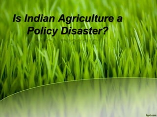 Is Indian Agriculture a
    Policy Disaster?
 