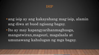 Isip-at-Kilos-Loob.pptx