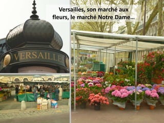 Versailles, son marché aux
fleurs, le marché Notre Dame…
 
