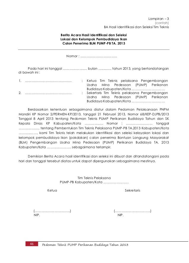 Isi pedoman teknis pump 2013 (13 juni) terbaru