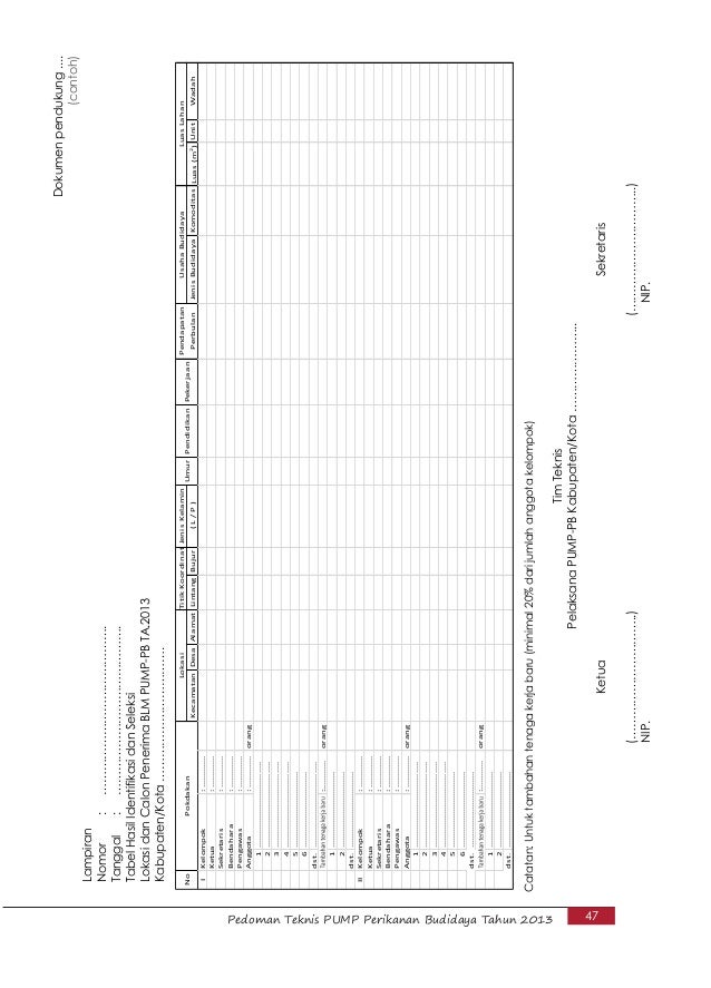 Isi pedoman teknis pump 2013 (13 juni) terbaru