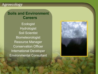 Soils and Environment Careers Ecologist Hydrologist Soil Scientist Biometeorologist Resource Manager Conservation Officer International Developer Environmental Consultant 