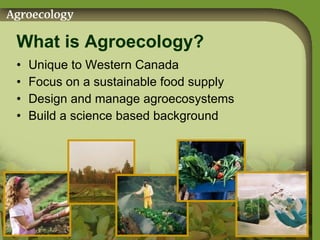 What is Agroecology? Unique to Western Canada Focus on a sustainable food supply Design and manage agroecosystems Build a science based background 