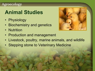 Animal Studies Physiology  Biochemistry and genetics Nutrition Production and management Livestock, poultry, marine animals, and wildlife  Stepping stone to Veterinary Medicine 