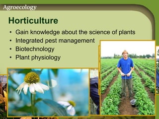 Horticulture Gain knowledge about the science of plants Integrated pest management Biotechnology Plant physiology 