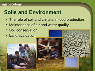 Soils and Environment The role of soil and climate in food production Maintenance of air and water quality Soil conservation Land evaluation 