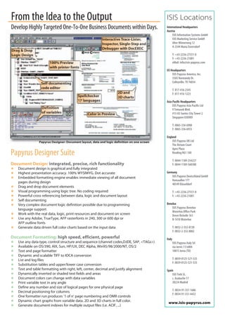 Isis Papyrus Focus Report Billing | PDF
