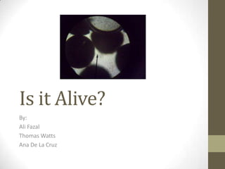 Is it Alive?
By:
Ali Fazal
Thomas Watts
Ana De La Cruz
 