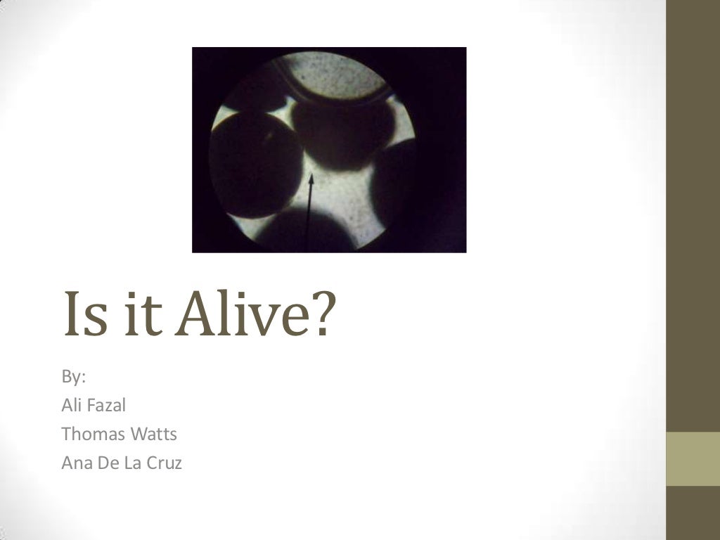 lab still alive 1.23 download lab still alive 1.23 download