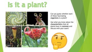Can you guess whether each
of these fascinating
organisms is a plant?
Use what you know about the
characteristics that all
plants have in common and
discuss with your team!
 