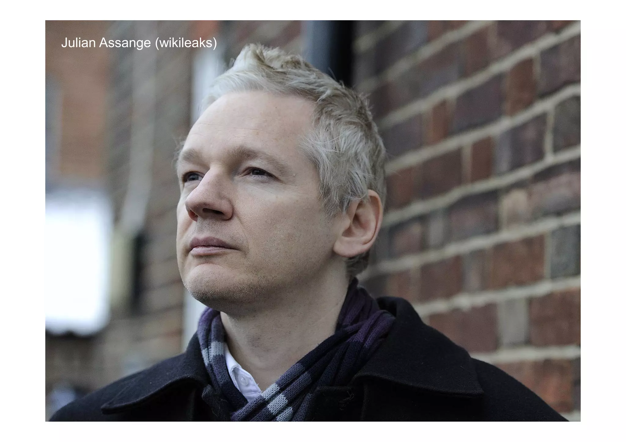 Julian Assange (wikileaks)




                             © Chris Skinner. All rights reserved.
 