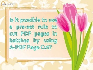 Is it possible to use a pre-set rule to cut PDF pages in batches by using A-PDF Page Cut?