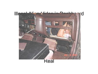 Illegal Alien Hides in Dashboard                                                                                                                                                                                   Real 