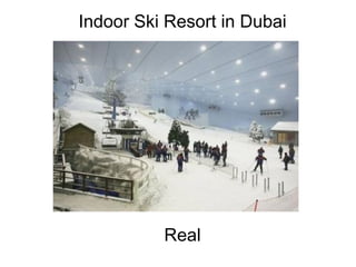 Indoor Ski Resort in Dubai                                                                                                                                                                                     Real 