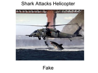 Shark Attacks Helicopter                                                                                                                                                                                              Fake 