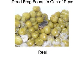 Dead Frog Found in Can of Peas                                                                                                                                                                                                         Real 