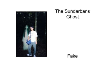 The Sundarbans Ghost                                                                                                                              Fake 