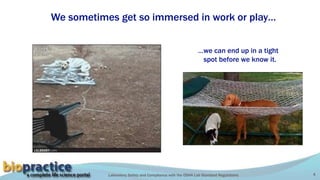 Laboratory Safety and Compliance with the OSHA Lab Standard Regulations 4
We sometimes get so immersed in work or play…
…we can end up in a tight
spot before we know it.
 