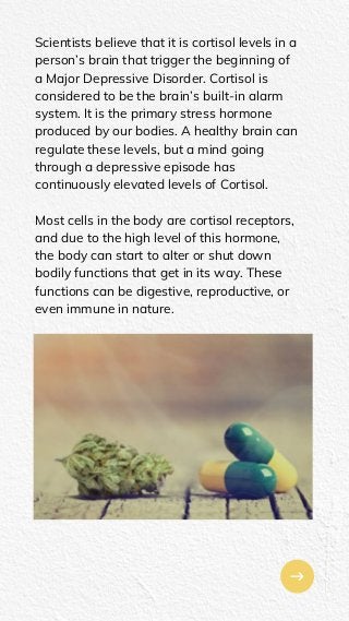 Scientists believe that it is cortisol levels in a
person’s brain that trigger the beginning of
a Major Depressive Disorder. Cortisol is
considered to be the brain’s built-in alarm
system. It is the primary stress hormone
produced by our bodies. A healthy brain can
regulate these levels, but a mind going
through a depressive episode has
continuously elevated levels of Cortisol.
Most cells in the body are cortisol receptors,
and due to the high level of this hormone,
the body can start to alter or shut down
bodily functions that get in its way. These
functions can be digestive, reproductive, or
even immune in nature.
PITCHDECK00-00-00
 